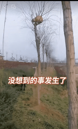 狗和猫很难和平相处。
那种仇恨刻在基因里世代相传，即使再过一千年，它们也是仇敌。