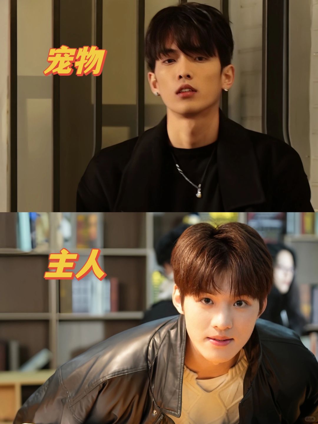 双强男主❗️宠物情缘❗️只有短剧才敢这么拍吧