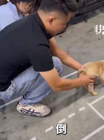 6 月 19 日，东莞这家驾校里，不少学员练侧方停车总卡壳，找不准入库点位，练了