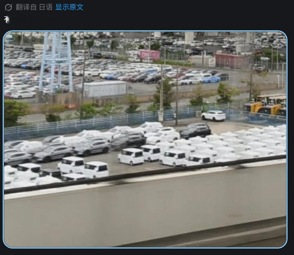 🔻BYD 獭冲滩了！海外新鲜事 热点现场