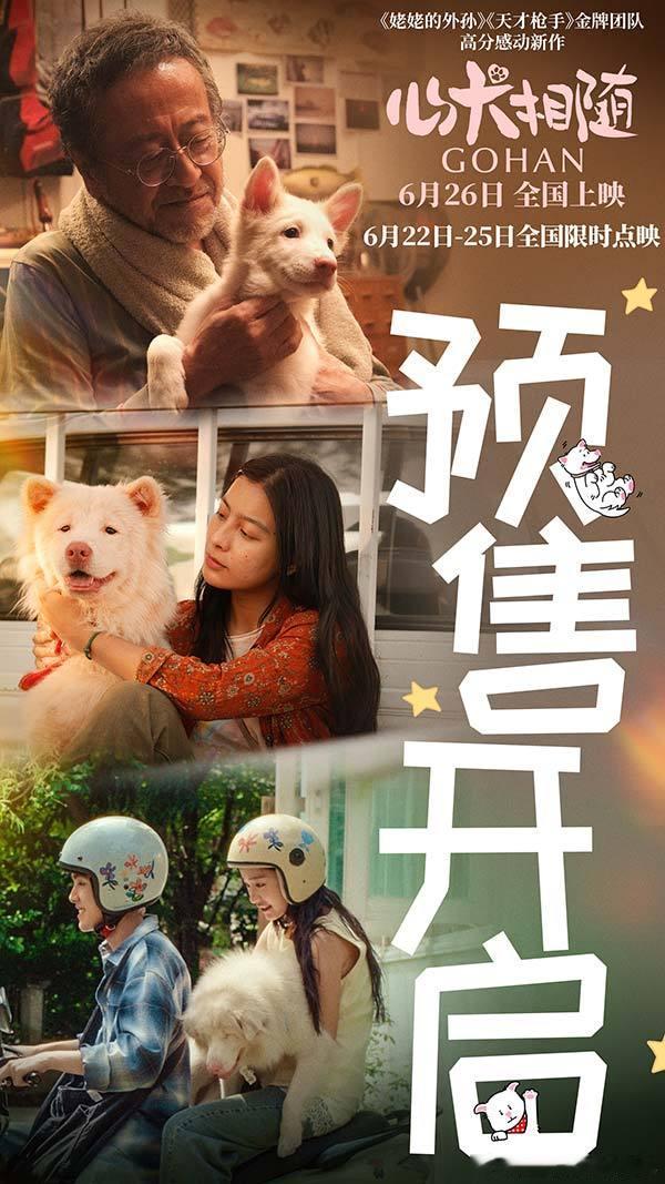 电影心犬相随预售开启感动无数人的治愈系神作《心犬相随》今日预售开启！最可爱的狗狗
