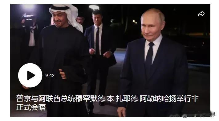 阿联酋总统：阿联酋有兴趣加强与俄罗斯的关系
阿联酋总统谢赫·穆罕默德·本·扎耶德