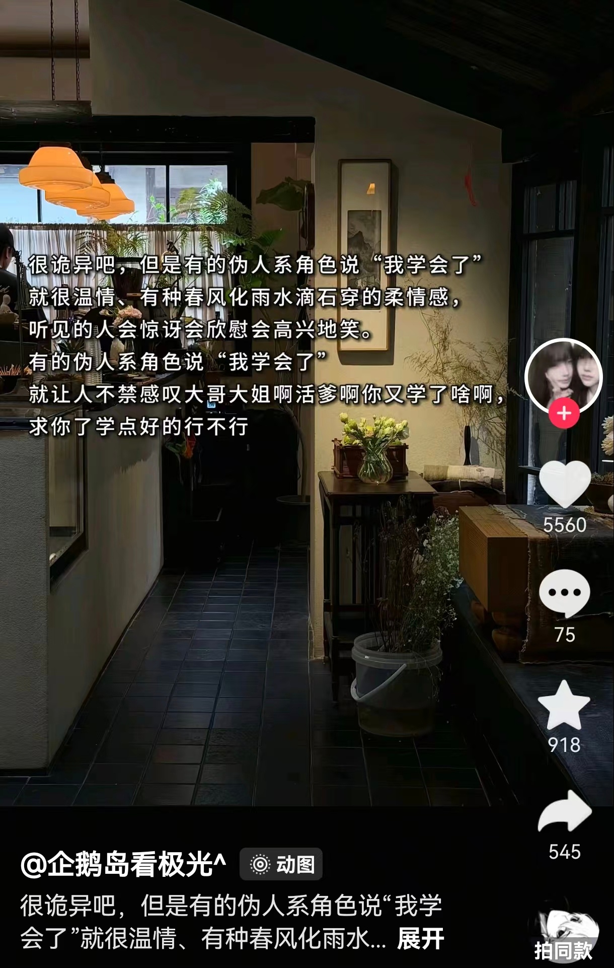 昔涟和多托雷 