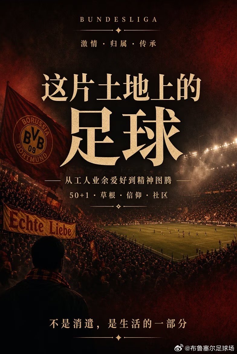 做了几期德甲球队新赛季巡礼，有些话想说说。2006年我爹带我去了趟德国看世界杯，