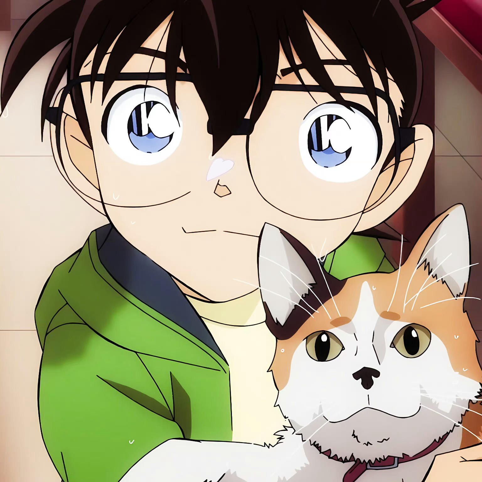 柯南 ｜ 小兰｜情头cr：#夏日次元盛典##柯兰##名侦探柯南# ​​​