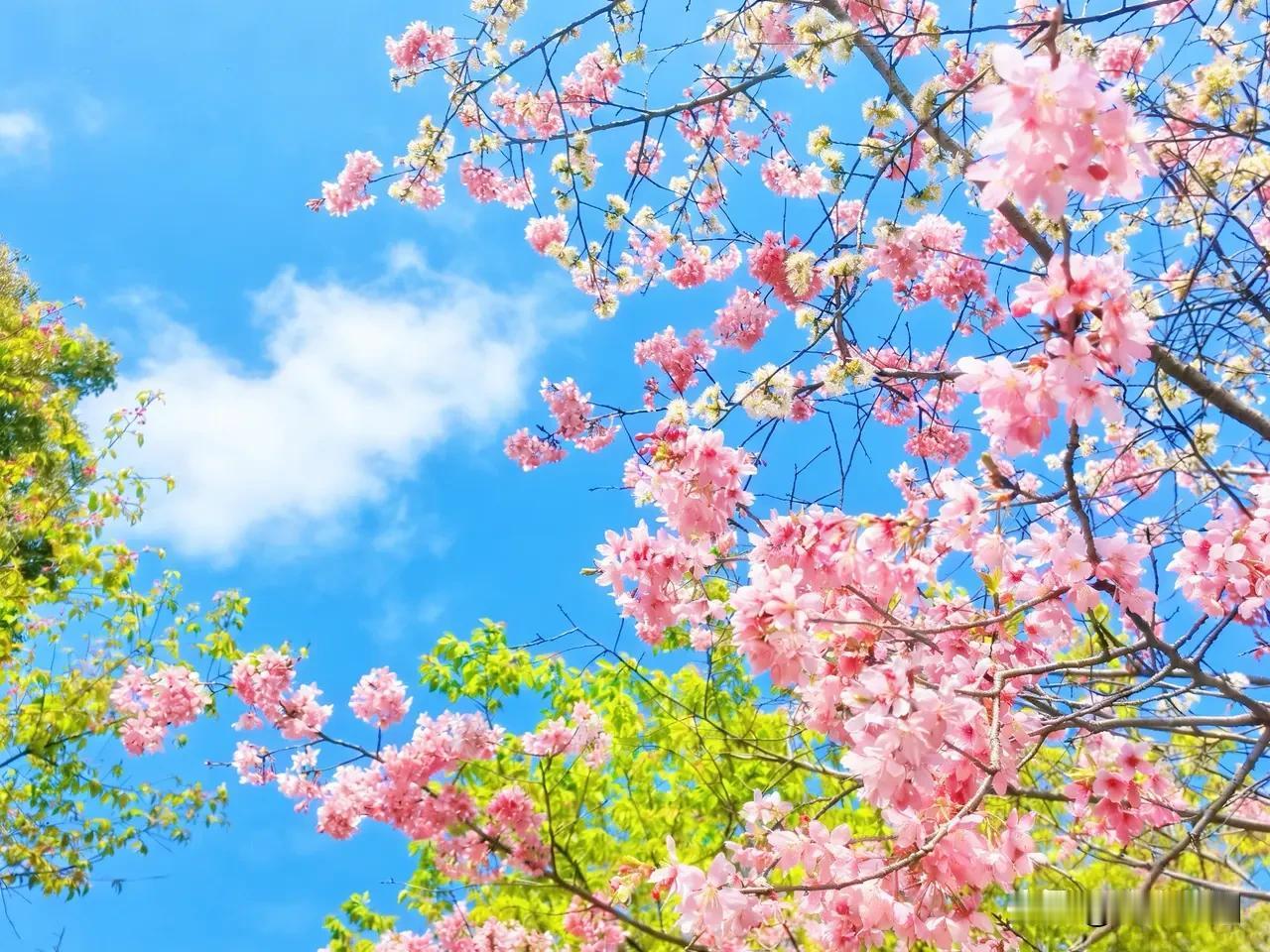 《浣溪沙·心向暖阳》
 
从容踏遍山与长，
倾心惜取日升光。
人间清欢伴奔忙。