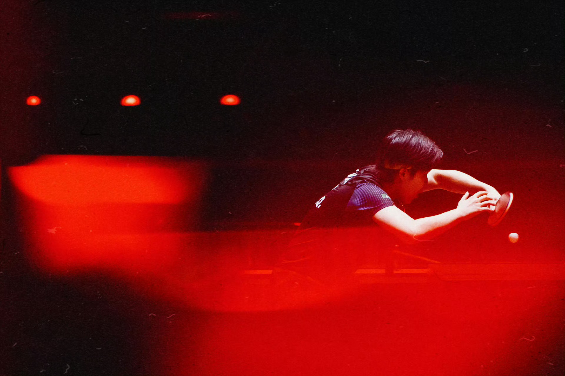 红红火火，顺顺利利！王楚钦 🦁