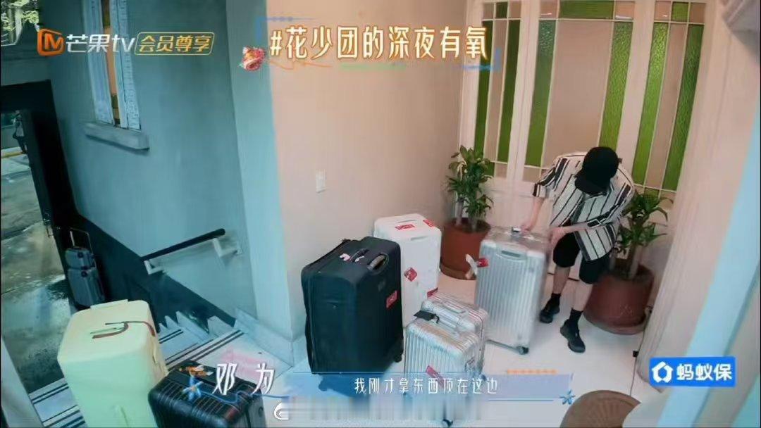 花少8邓为王星越王可搬箱子花少8搬箱子这段花儿与少年花少8搬箱子名场面氛围感拉满