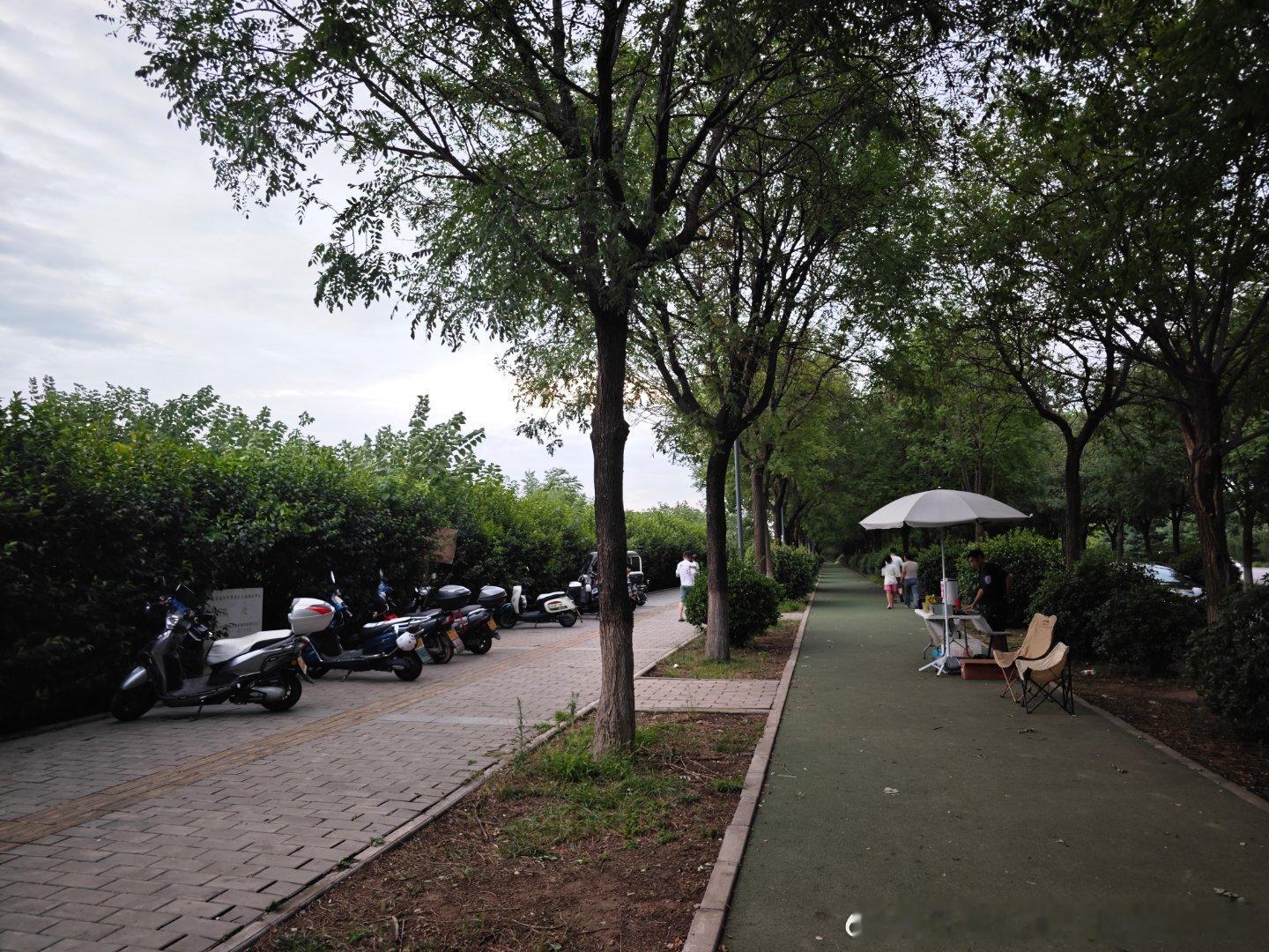 北周静帝你是真的火了 咸阳·恭陵