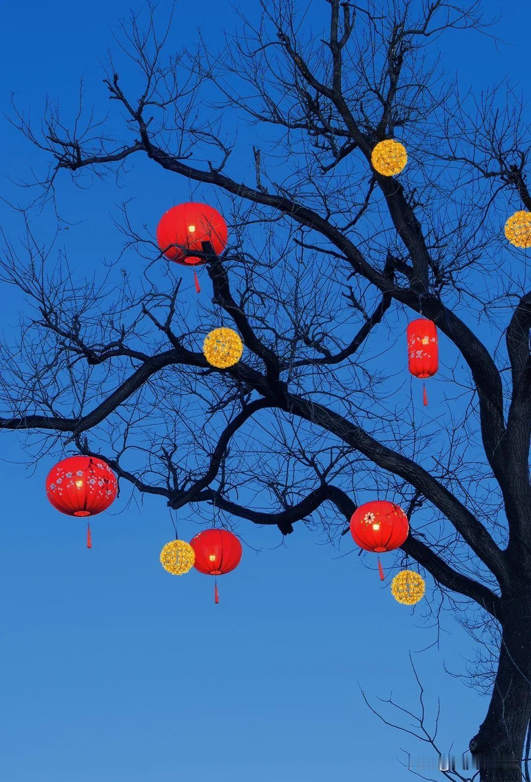 🏮 为什么红灯笼能代表年味？

1. 最直观的“年味视觉符号”
   · 每逢