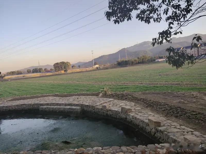 我喜欢一副联，可以作春联，但并不典型。
这是一副古联:
荆树有花兄弟乐,砚田无税