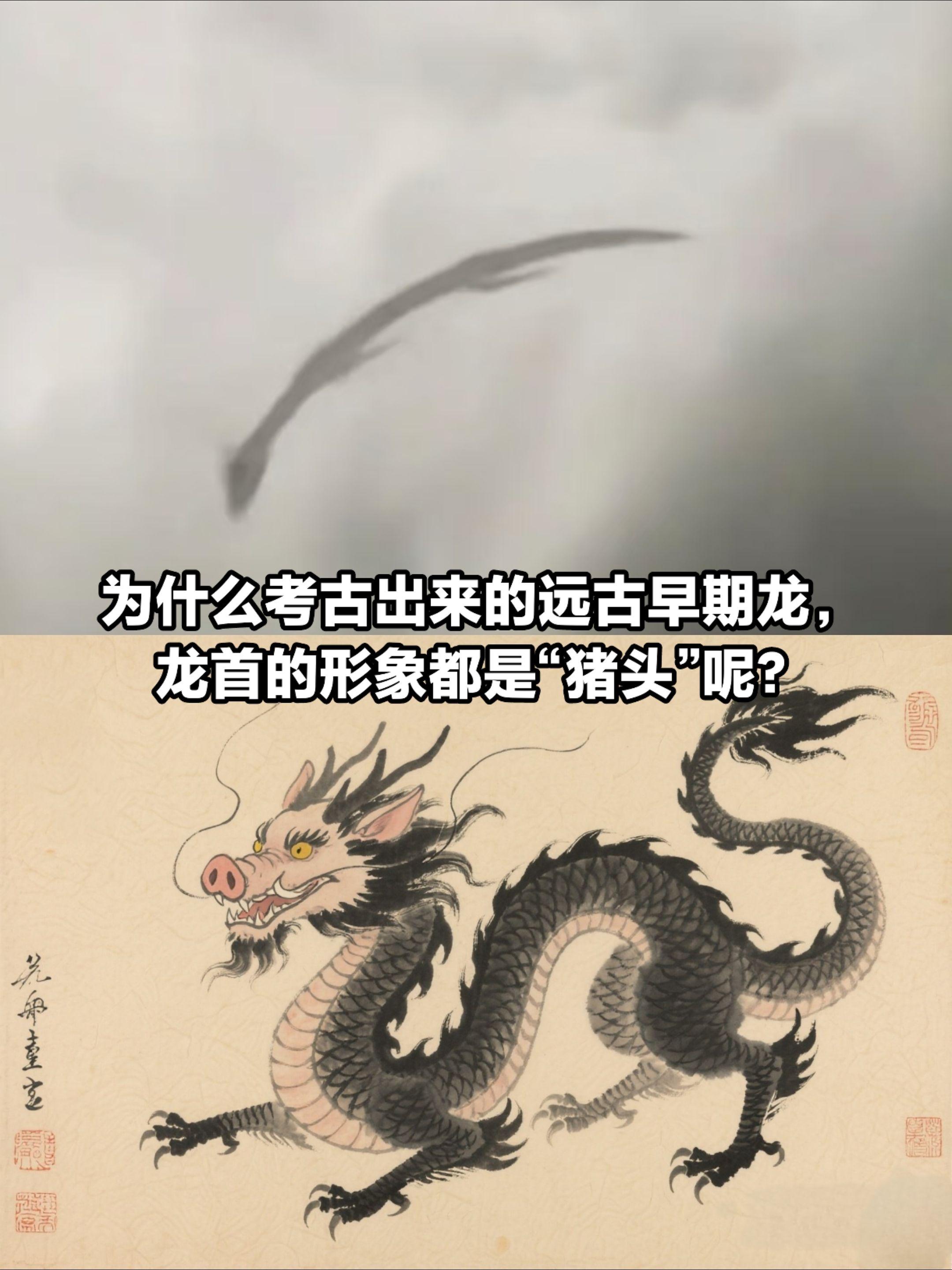 为什么考古出来的远古早期龙形象是“猪头”