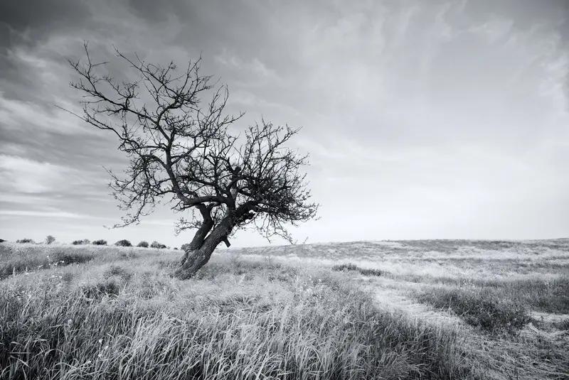 你愿意接受自然的衰老吗? 我愿意接受自然的衰老。就像有宝妈说的，25岁时觉得衰老