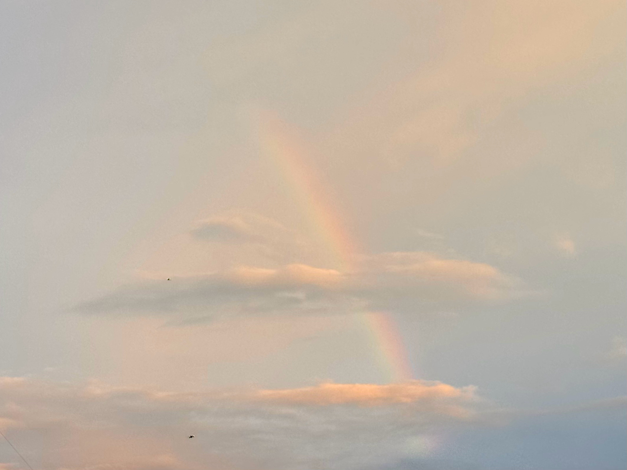 🌈 