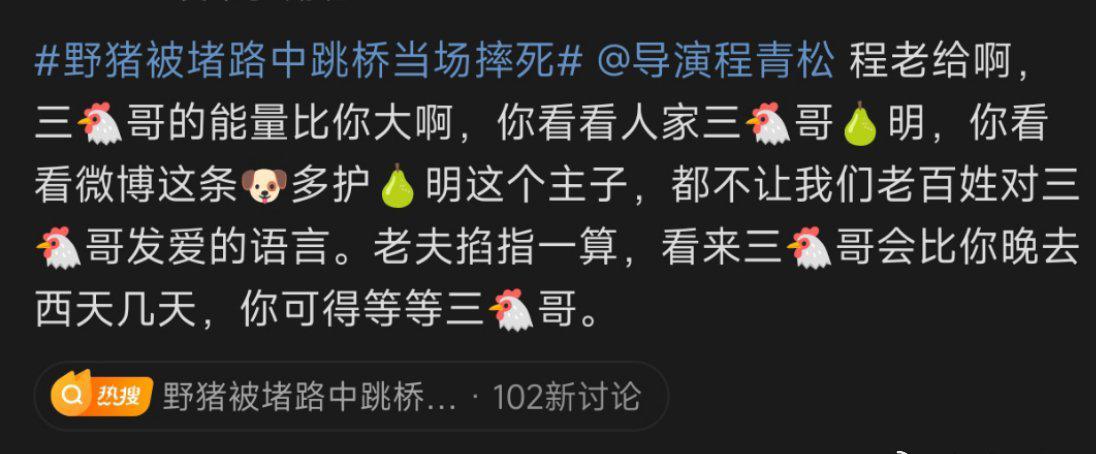 一段行车记录仪拍下的画面，把“野猪”送上热搜：高架桥上车流如织，一头灰黑色成年野