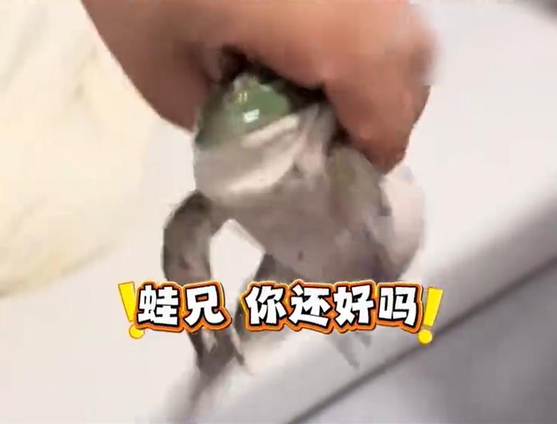 你说，这是词不达意，还是理解错误？点个外卖，却闹了个天大的笑话！
前不久，上海一