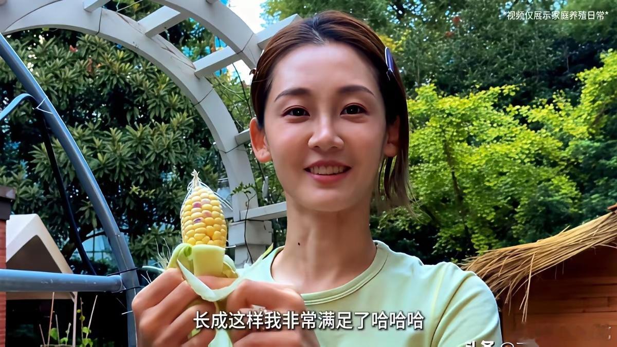 刷到苗苗的农场，我半天没缓过神来。一个女明星，自己画图纸，买木材，叮叮当当给自己