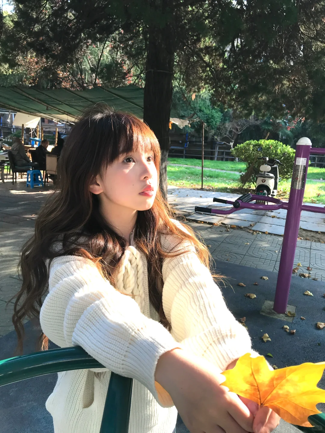 ‧ ˖ ⁺₍ᐢ⸝⸝´꒳`⸝⸝ ᐢ₎ ୨🍂