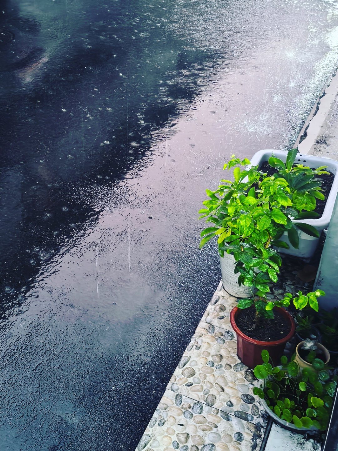 下雨是大自然的烟花🎆 