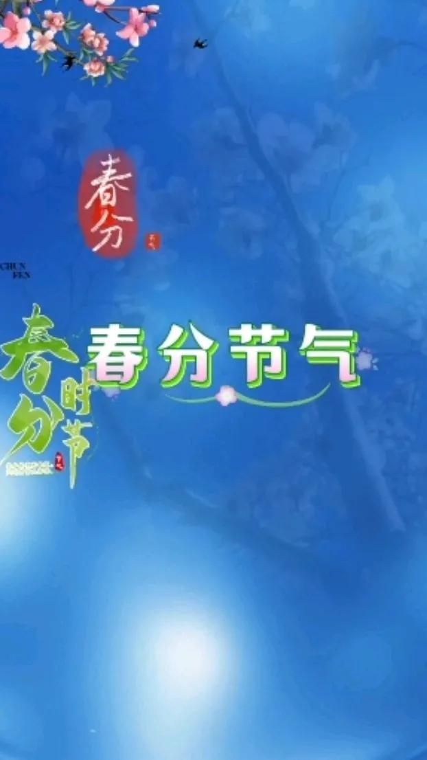 今日春分，春分不仅是季节的更迭，更是心灵的重启。让我们放下过往的沉重，带着对新生