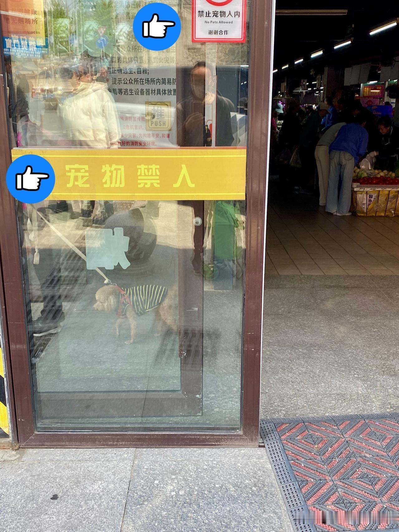 大连西岗某农贸市场门口
大门上贴着，
“禁止宠物入内”。
已有明明白白的规定，