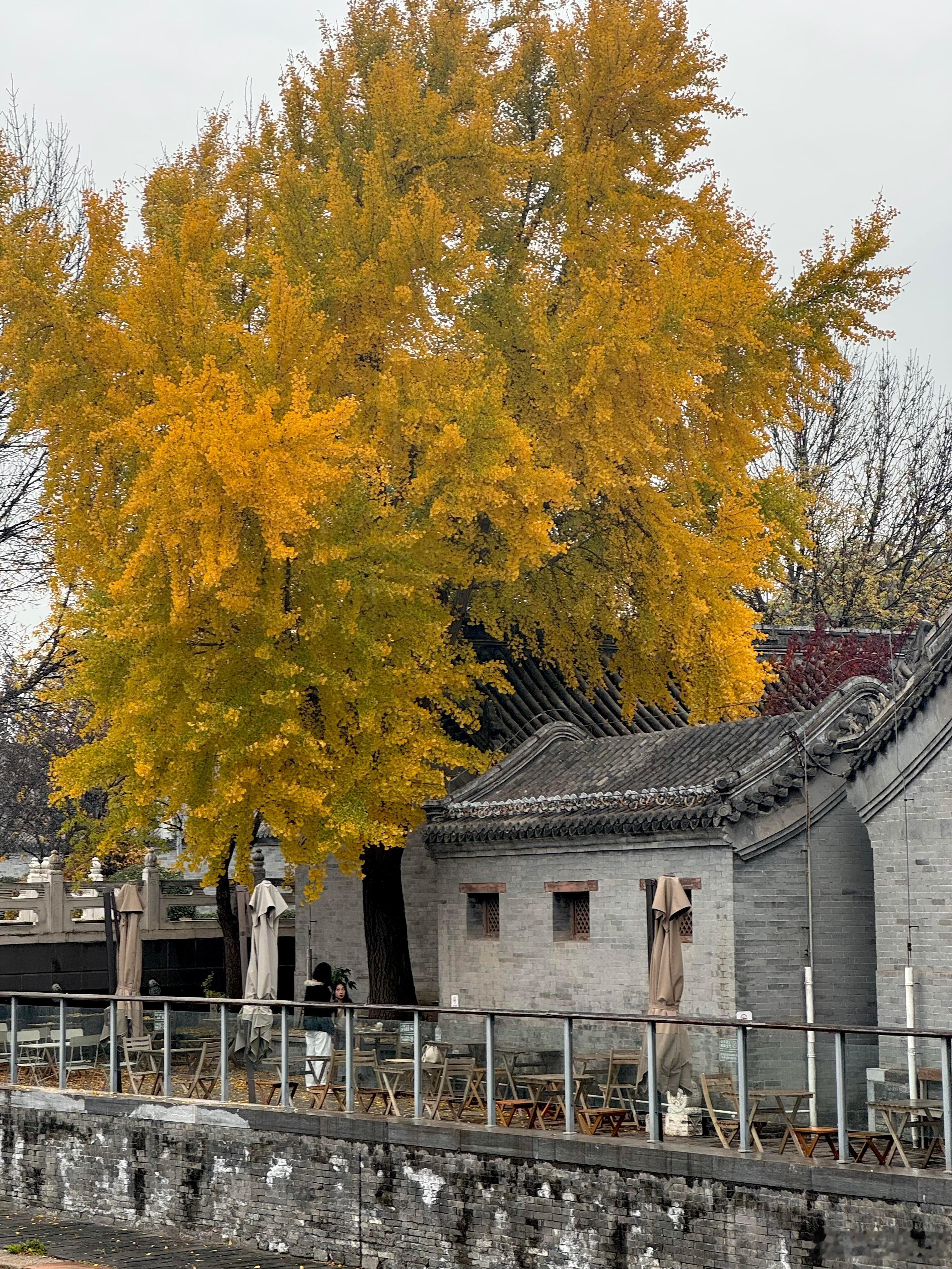 木秀于林，风必摧之，如果你比别人过的好，千万不要去炫耀，让所有人都知道你的好，只