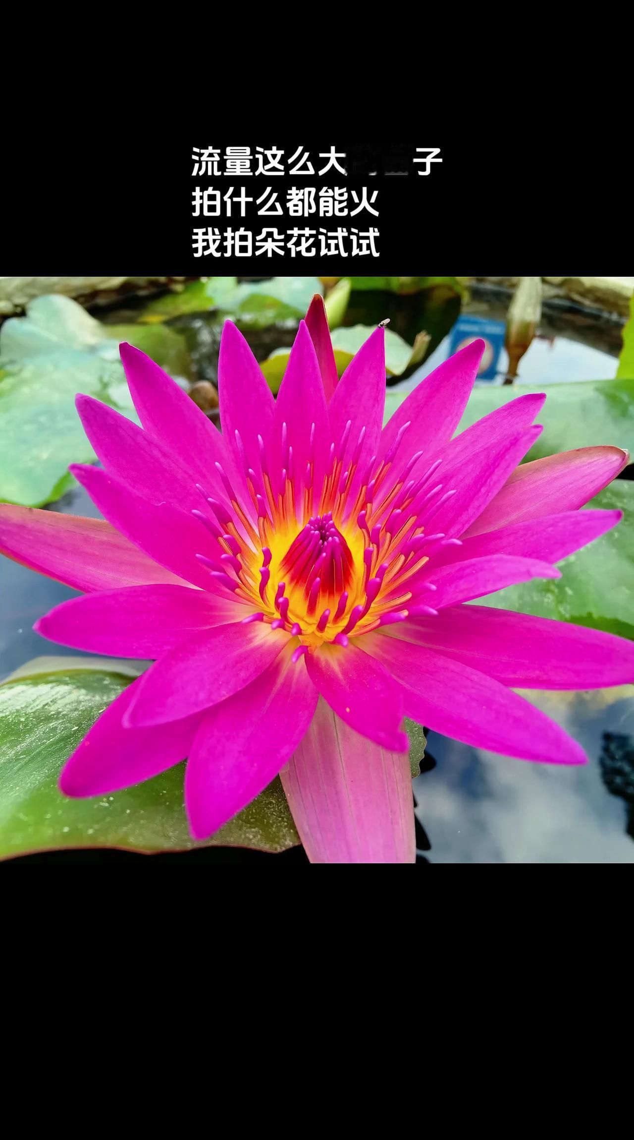 玩法合伙人计划