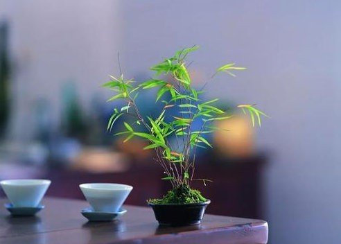 走正确的路，放无心的手，结有道之朋，断无义之友，饮清净之茶，戒色花之酒，开方便之