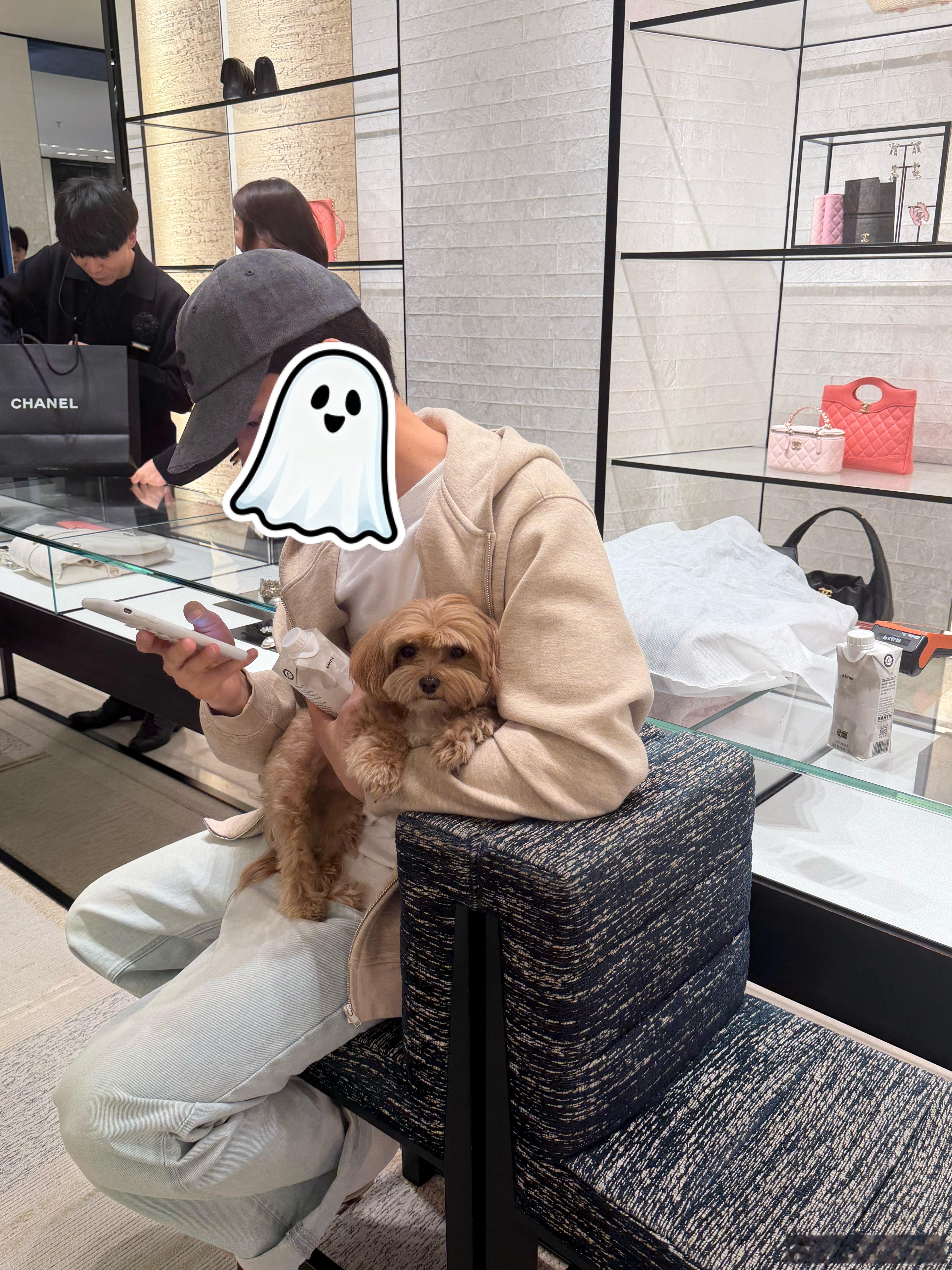 最近老刷到宠物美容虐狗的、再加上拿铁本身就不喜欢洗澡美容我就买了工具自己给它剪，