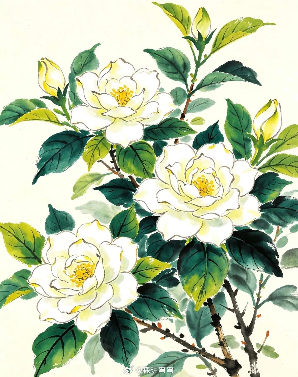 早安 三木成森，代表繁茂林木，寓意生命力旺盛、心胸开阔，有沉稳踏实、郁郁葱葱、前