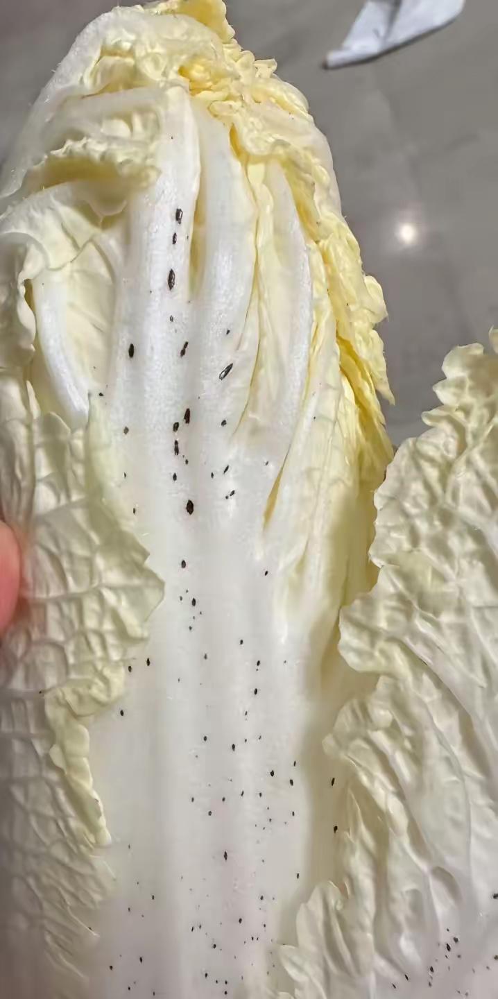 这是什么情况？有知道的吗？今天买了颗大白菜回家，想着炖个热乎乎的白菜豆腐汤，结果