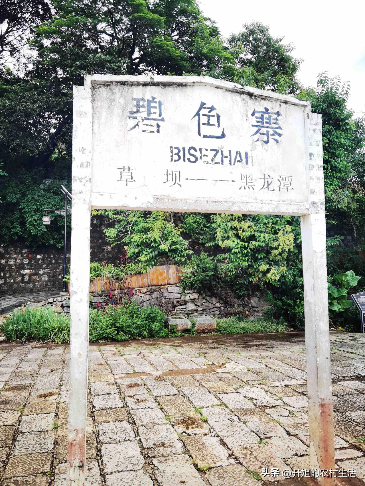 云南是一个民风纯朴的地方！记得第一次来（2019年）我们就爱上这里！所以连续几年