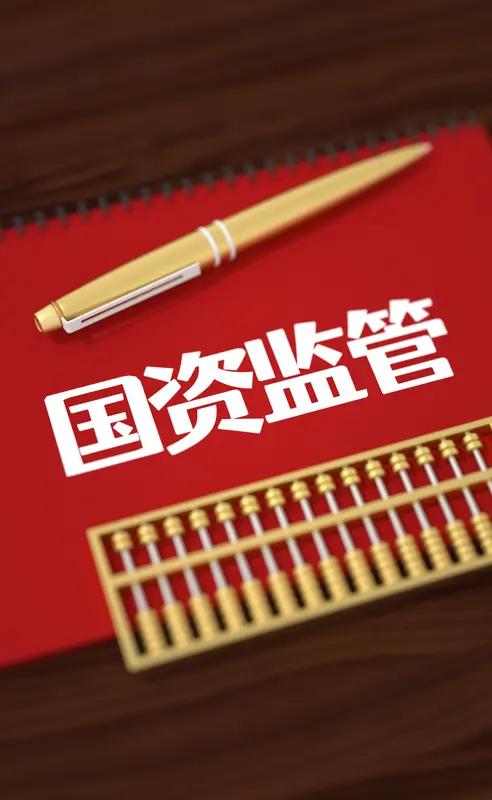 卢麒元现在可以安心了。

他多年前的预警，如今终于得到了回应。

国资委设立了境