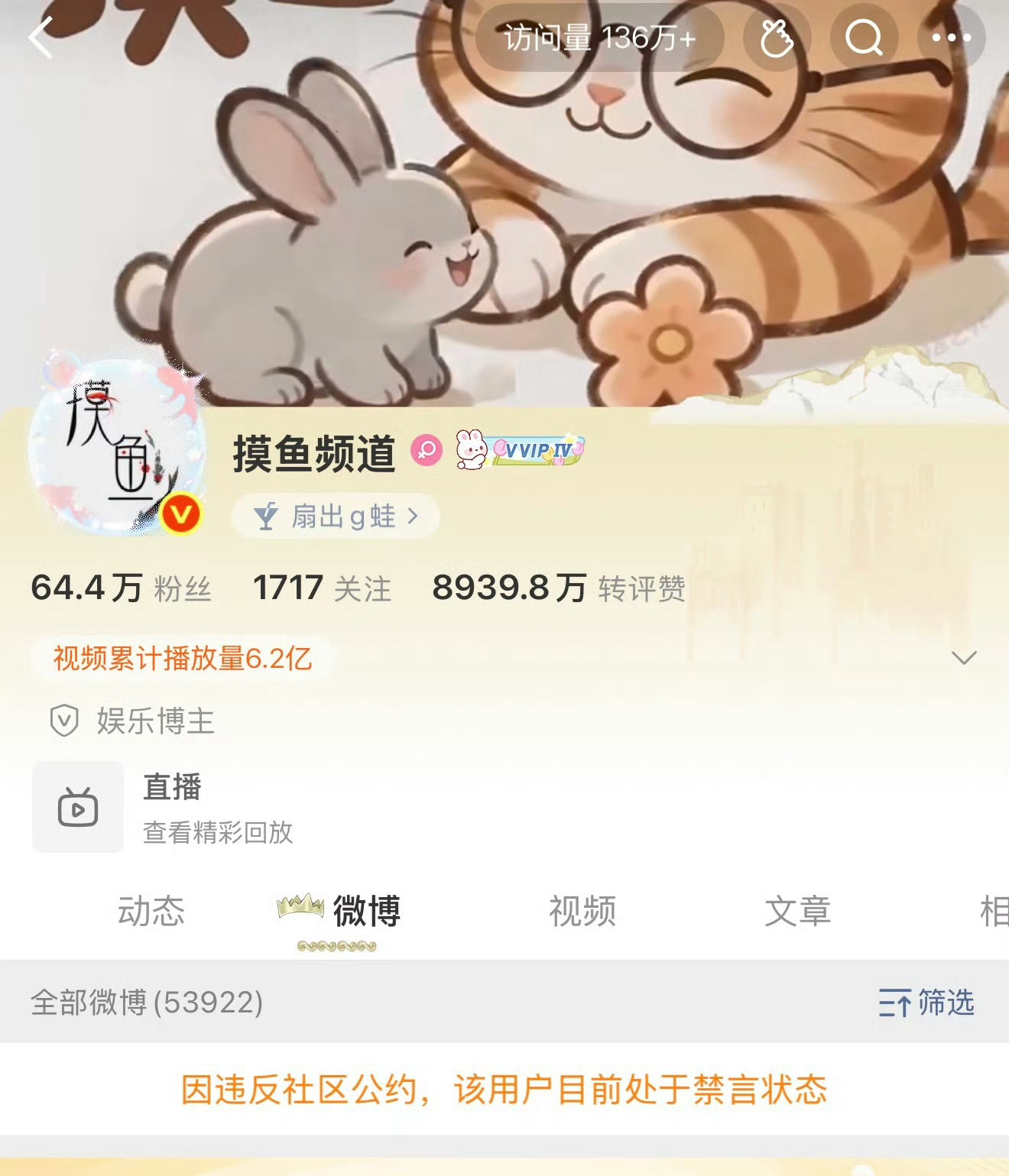 摸鱼频道的访问量有136万