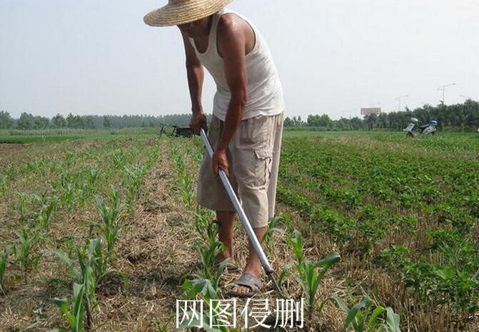 对联邀对。
上联：苦不苦？农民锄禾日当午；
下联：？？？？？
[微风][微风][