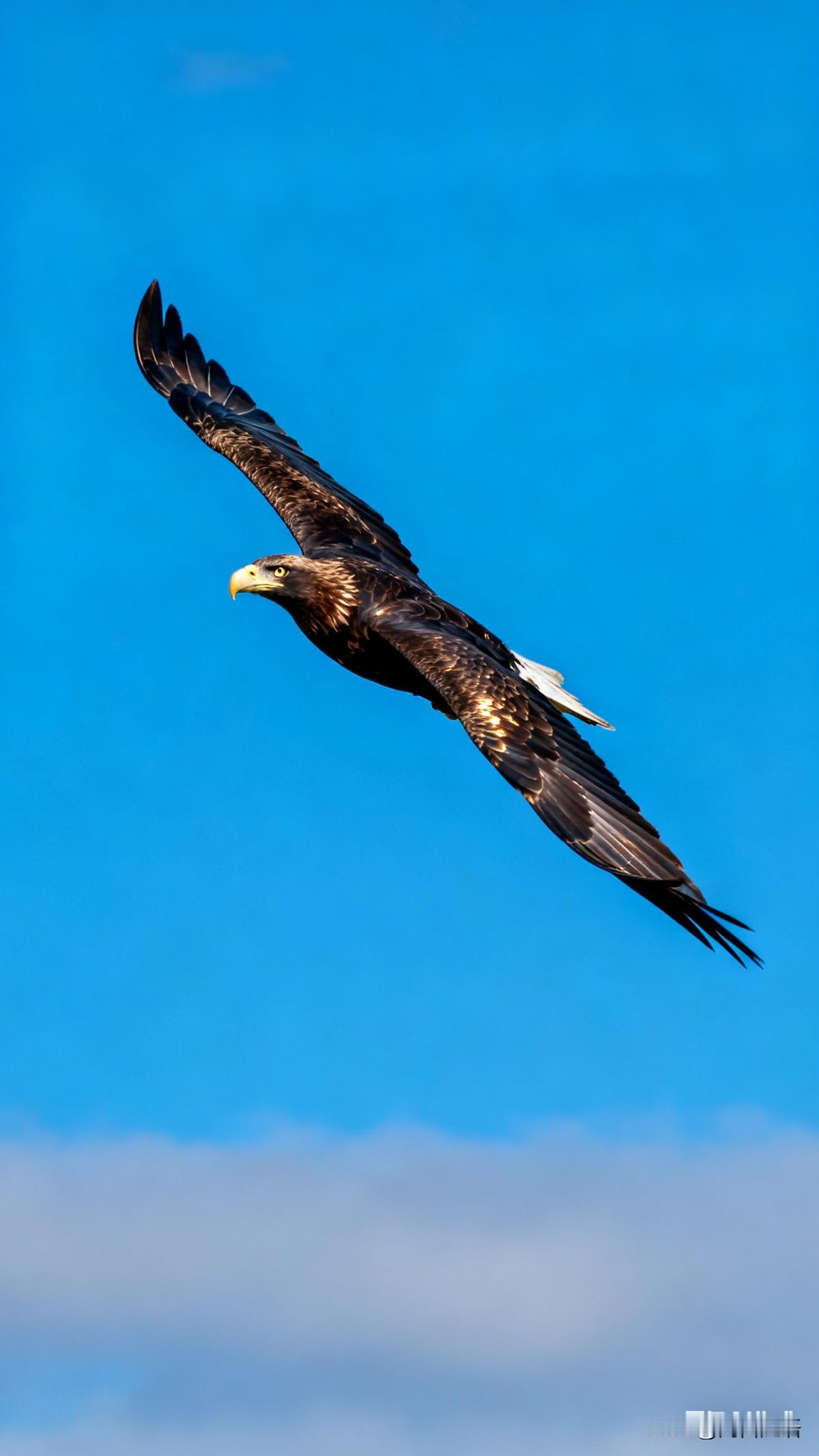 自从昨天打通了自己的“任督二脉”，整个人一下子通透了
感觉既能飘上天放飞自我，又