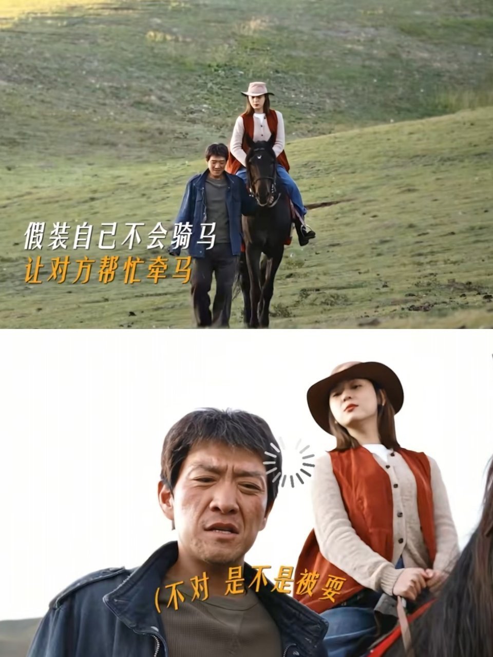 我村里的媒婆都发现不了的cp，编剧怎么写出来的。杨紫晒生命树巡山队全家福