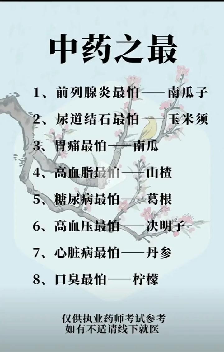 中药之最。
·1、前列腺炎最怕--南瓜子。
·2、尿道结石最怕-玉米须。
·3、
