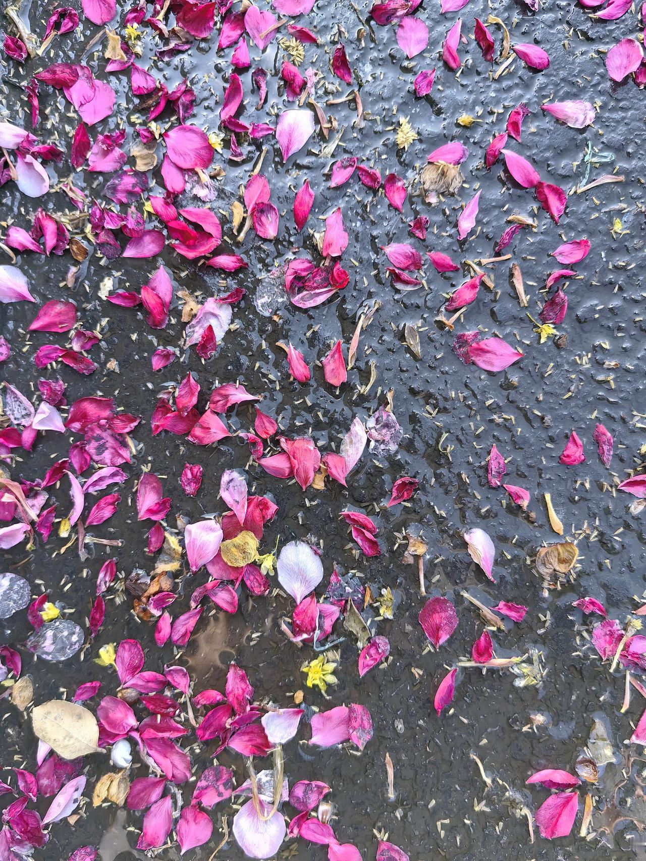 不能坐在家里写头条，走出去才有生活素材。

果然走出去几步，就听到摩托车炸街的声