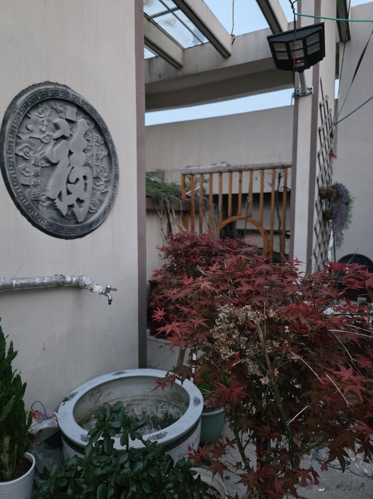 很体谅她：一位粉丝朋友的信和我的回信……

“镇长刘老师，你好。在头条关注了你好