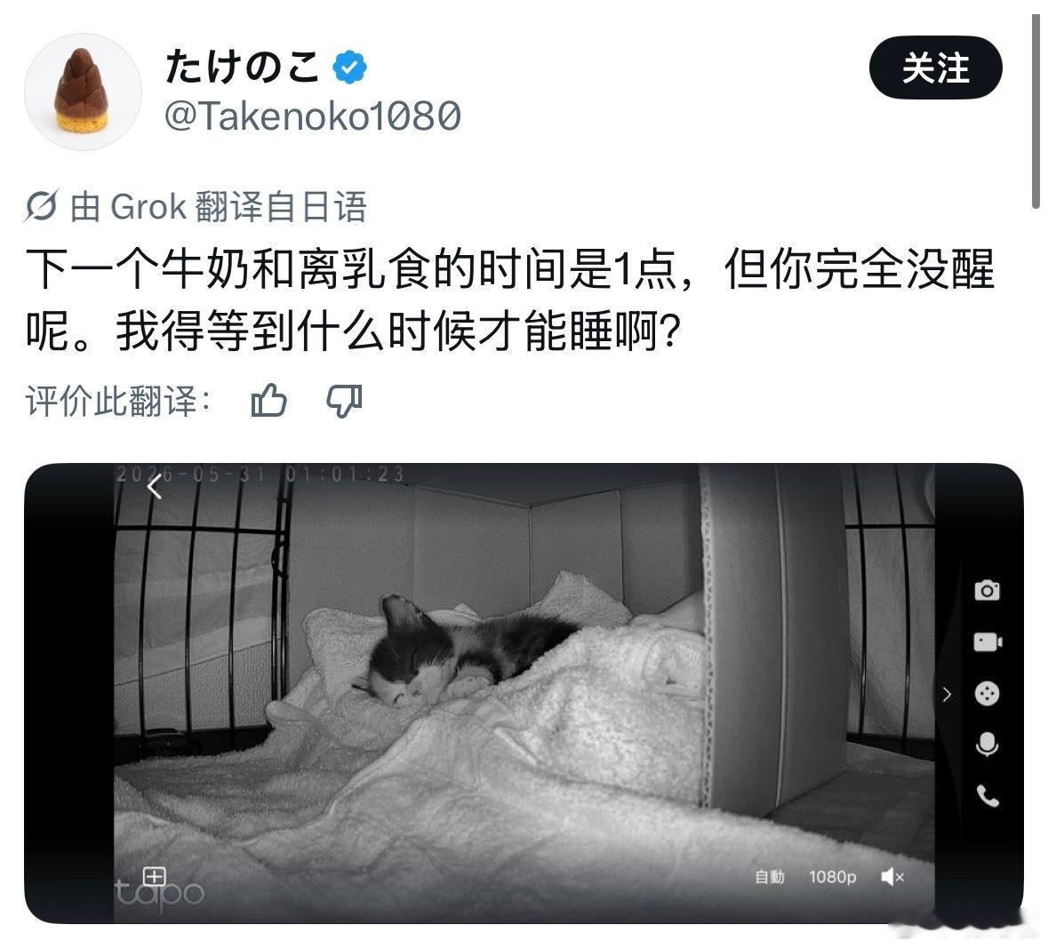 好像看了一集动画片 