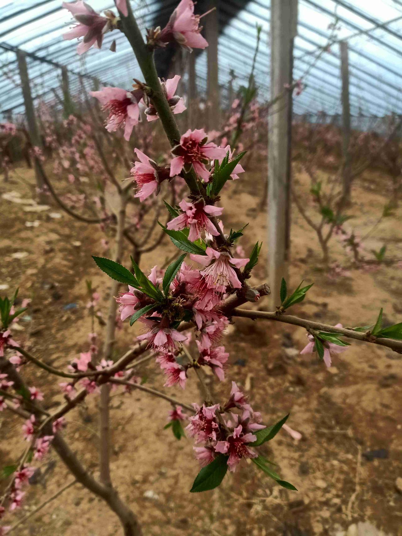 我的今日状态：😁轻松愉快
我这里的天气：🌤️多云