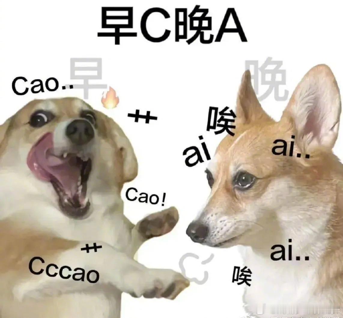 我是不会停止收集这种表情包的人在工位坐，魂在新疆飘搞笑表情包表情包发疯表情包趣味