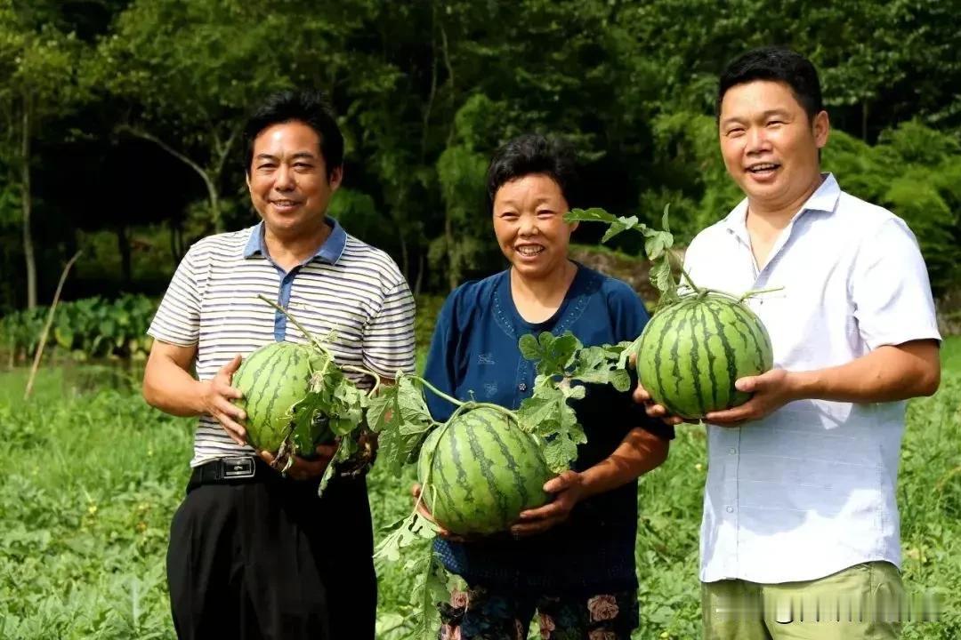 丰产却难增收！河南瓜农的心酸谁能读懂
 
市场上随处可见两元一瓶的矿泉水，放到河