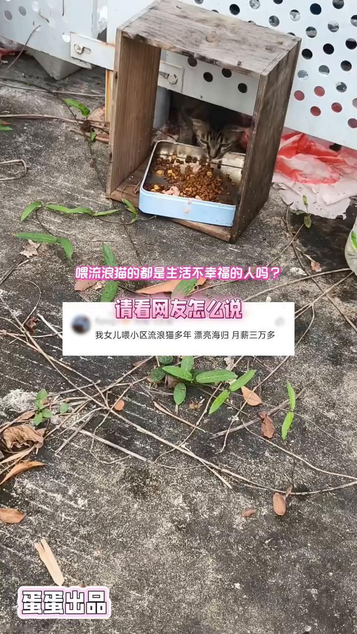 喂流浪猫的都是生活不幸福的人吗？请看网友怎么说。
蛋蛋出品。