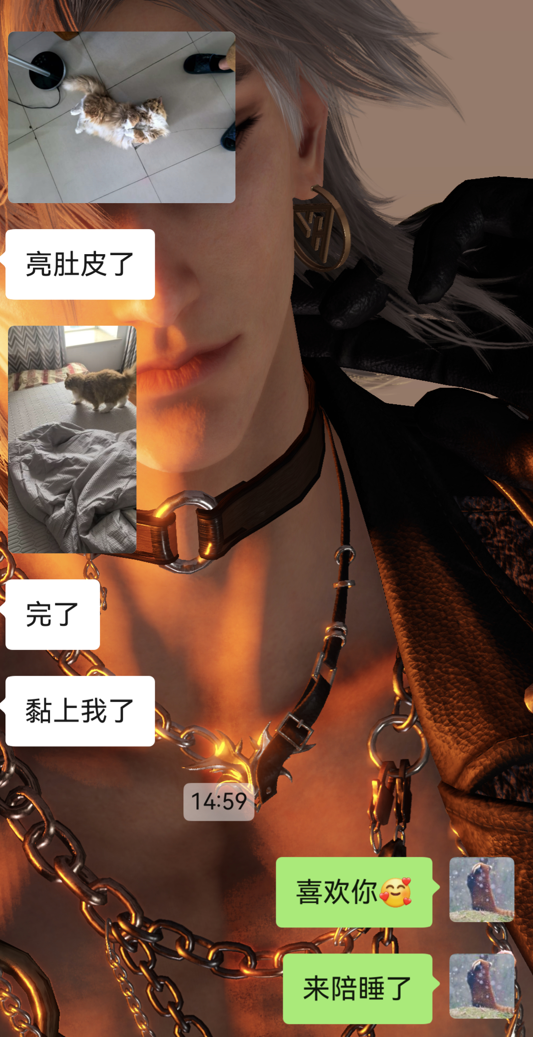 总共也就，第二次见面大毛以猫星最高礼仪规格隆重接待了我老公不仅亮肚皮，还陪睡[允