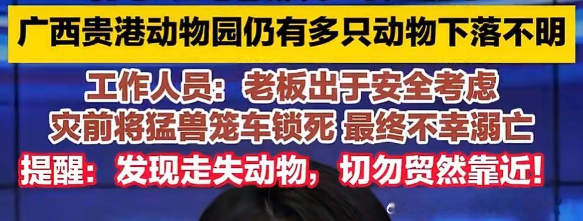 动物园灾前将猛兽锁死致多只溺亡动物很可怜，老板损失也很大，也是多亏了他的这一决定