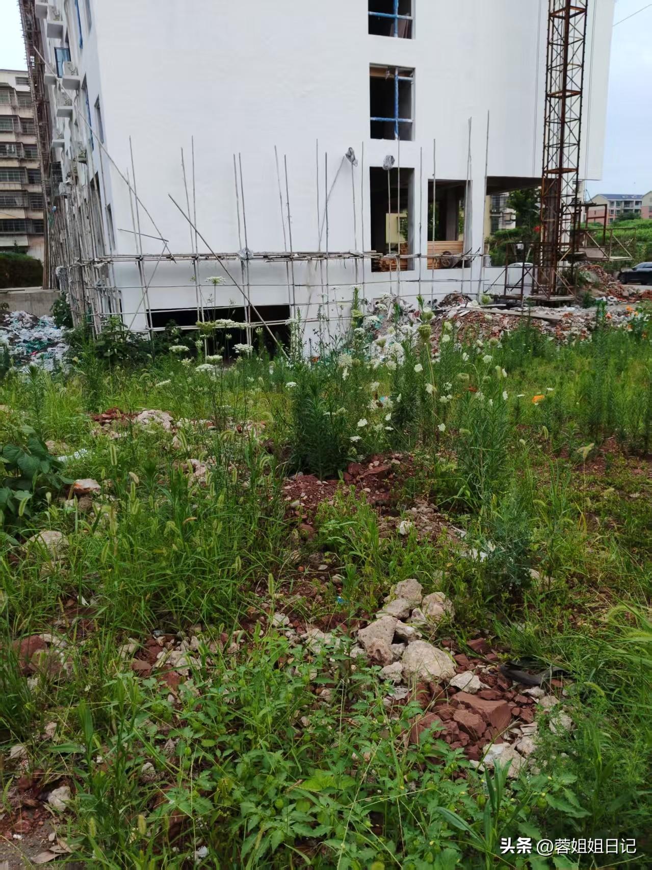 今天，我跟大家聊一聊保险。其实，正规公司的保险都是合理合法的。为什么很多人都认为