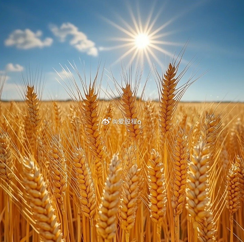 大家好，在线的朋友点赞签到，下午送出短线牛标，看看有多少要与程姐同车，点赞评论！