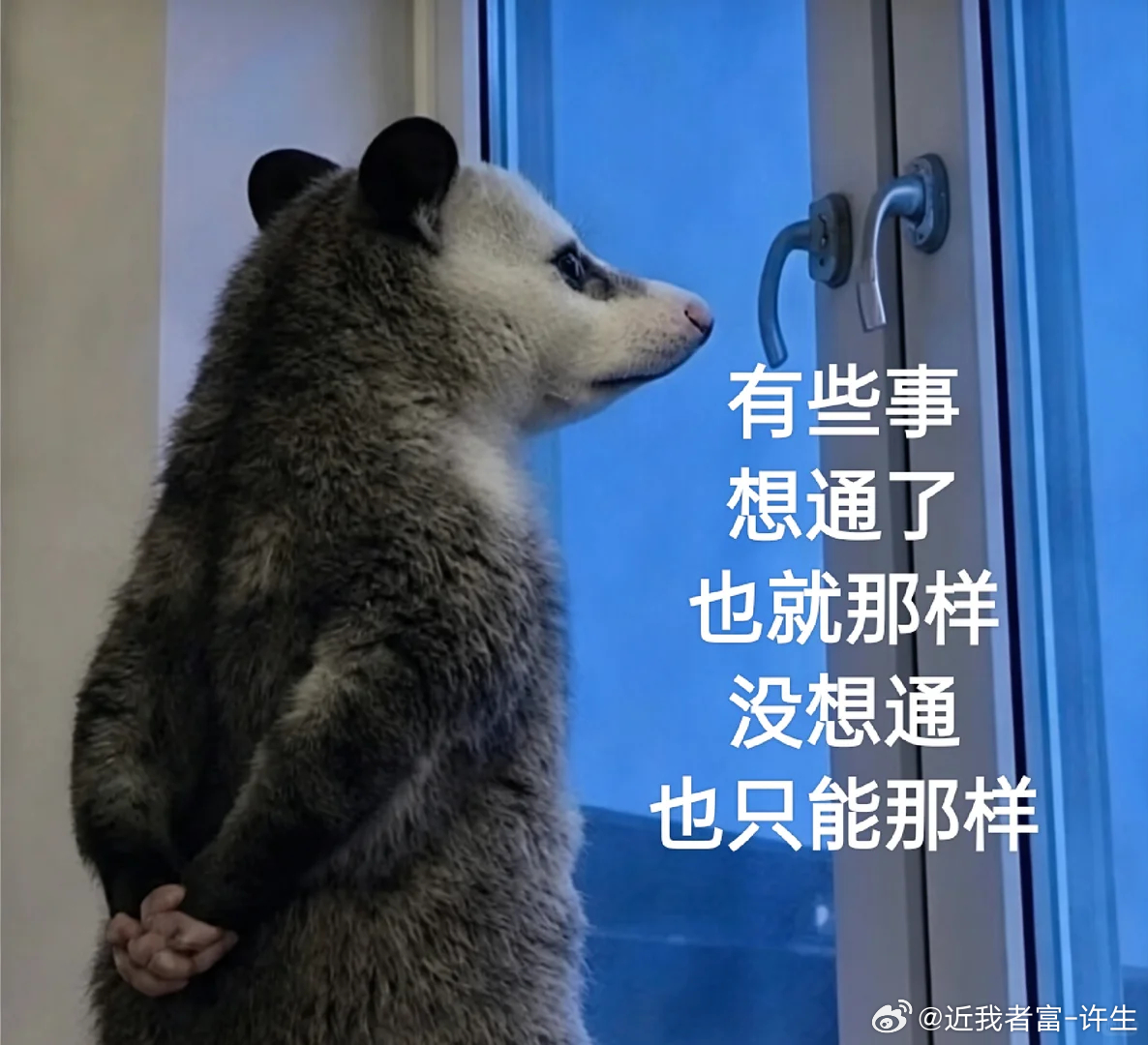 兜兜转转一圈回来，发现其他老师的单子都进不去，要么就是不给你们防守位。要么就是胜